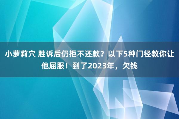 小萝莉穴 胜诉后仍拒不还款？以下5种门径教你让他屈服！到了2023年，欠钱