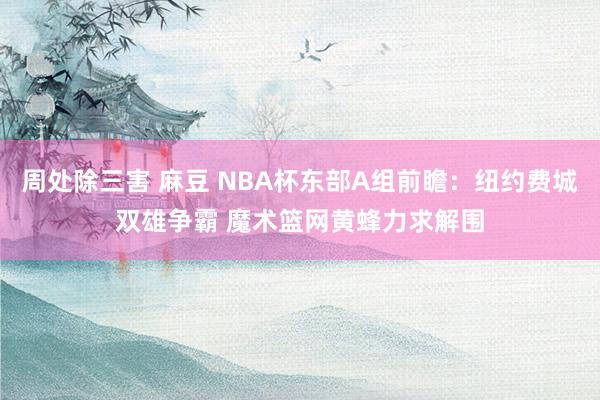 周处除三害 麻豆 NBA杯东部A组前瞻：纽约费城双雄争霸 魔术篮网黄蜂力求解围