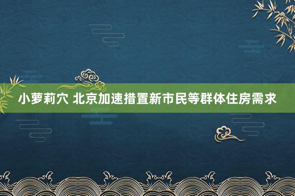 小萝莉穴 北京加速措置新市民等群体住房需求